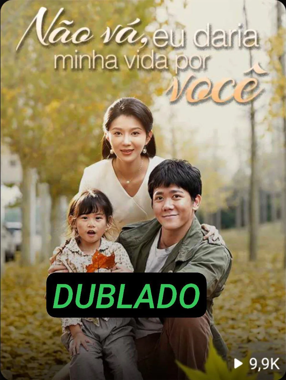 Não Vá, Eu Daria Minha Vida Por Você